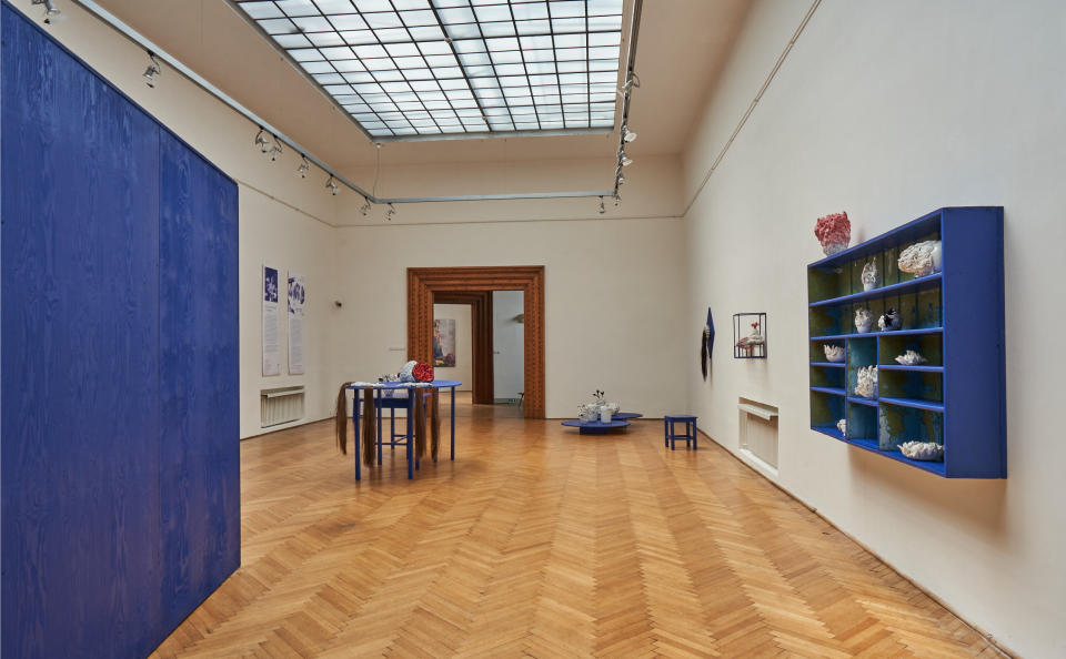 Photo of the exhibition space in the gallery in Hodonín, where the exhibition of Pavla Vachunová aka TYFORMY was installed. The photo shows white porcelain objects installed with blue elements of boxes, table and shelves. In the background, you can see the text for the exhibition hanging on the wall at the entrance to the exhibition.